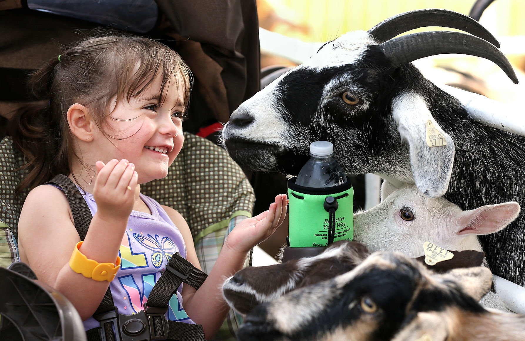Nebraska State Fair